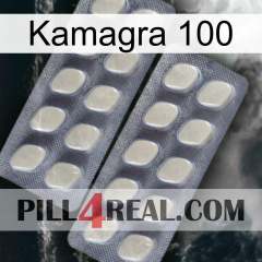 Kamagra 100 07